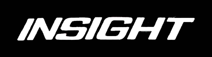 2010 Insight Concept Logotype